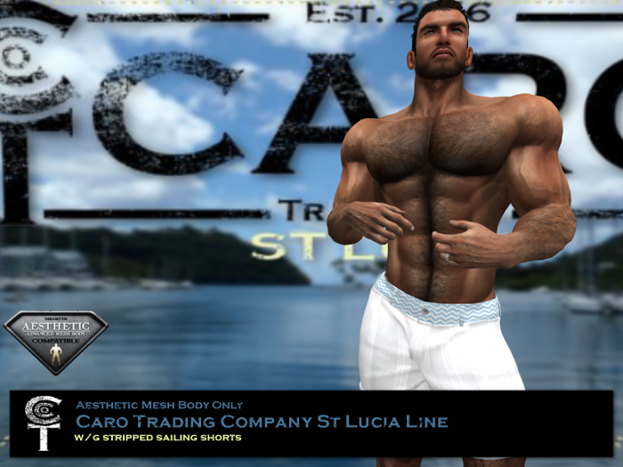 [B] *CTC* W/G STRIPPED SAILING SHORTS
