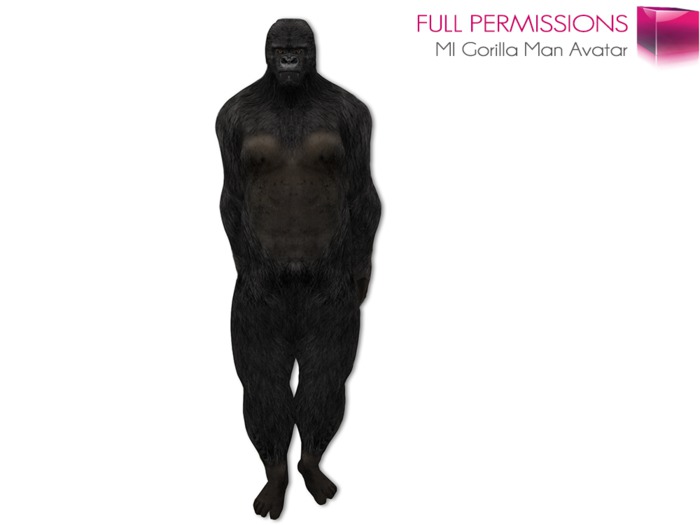 Full Perm Male Realistic Gorilla Ape Avatar Character Animesh