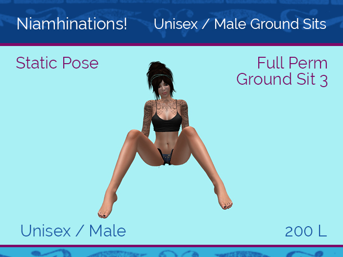 Ground Sits - Ground Sit 3 - Unisex - Full Perm Poses & Animations from Niamhinations!
