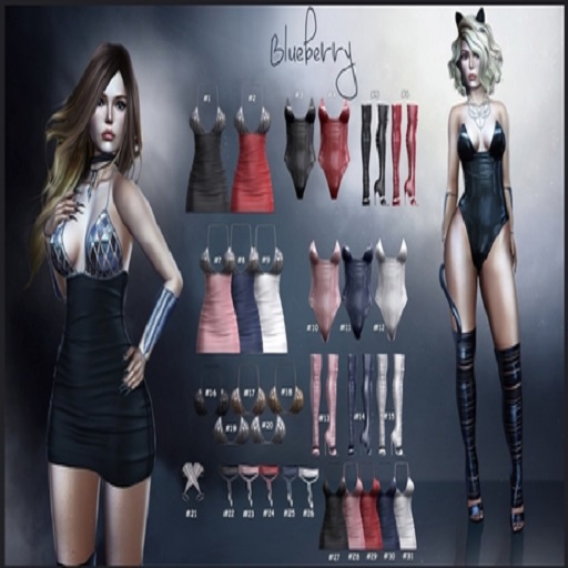 #23 Blueberry - Energy - COMMON - Choker - Pixie *M*