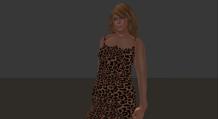 Pack clothes panther
