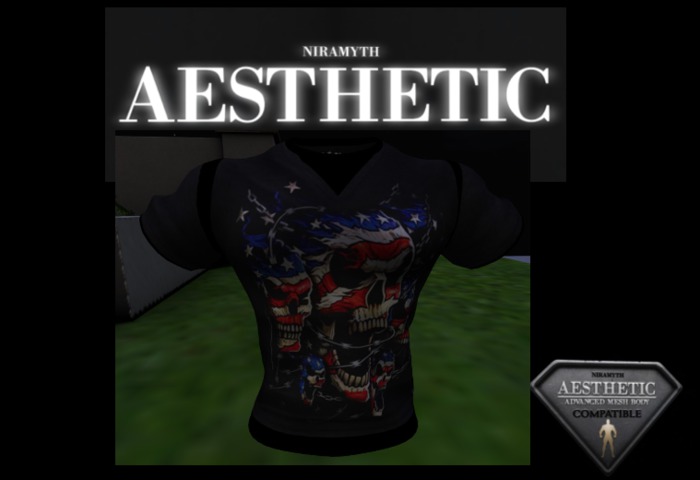 Aesthetic T Shirt  R&B Skull