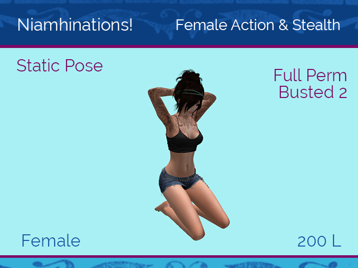 Action & Stealth - Busted 2 - Female - Full Perm Poses & Animations from Niamhinations!