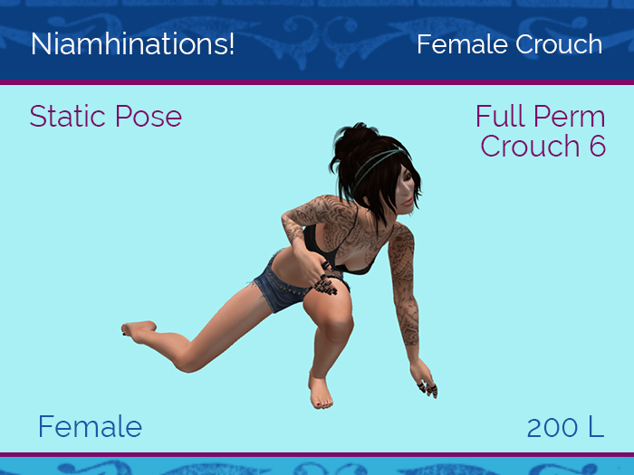 Crouch 6 - Female - Full Perm Poses & Animations from Niamhinations!