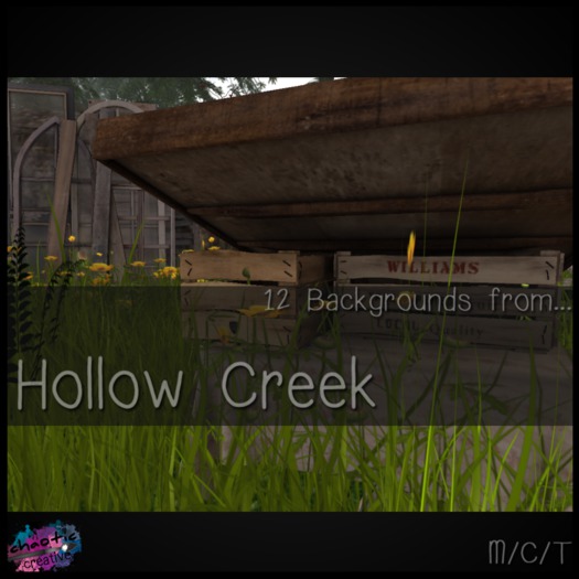 Hollow Creek
