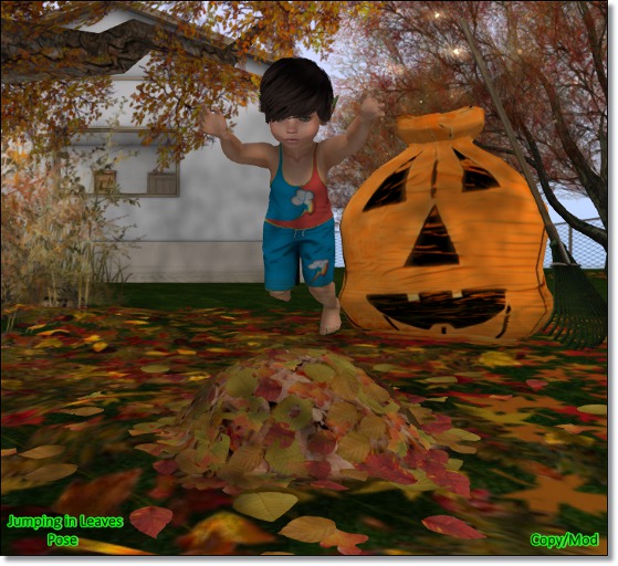 *S*W* Jumping in the Leaves Pose (Boxed)