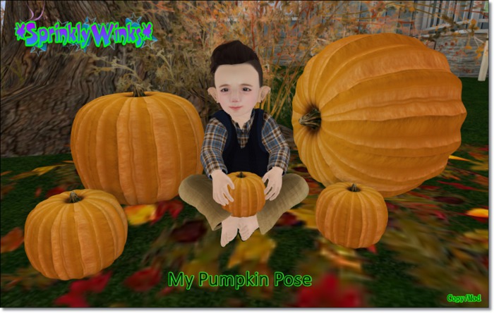 *S*W* My Pumpkin Pose *BOXED*