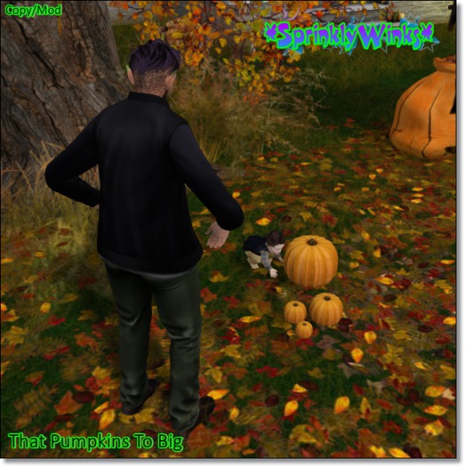 *S*W* That Pumpkins To Big Pose *Boxed*