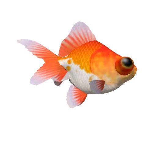 RedGoldfish_fish_v2.0