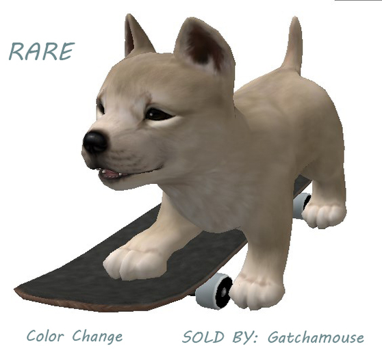 Jian :: Silly Shibes - Skater Pup RARE
