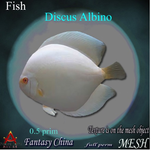 FC - Mesh Discus Albino fish full perm 