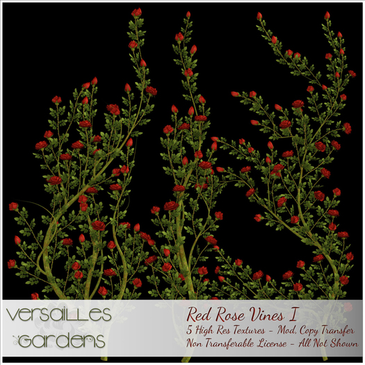 Versailles Gardens Vendor Red Roses Vines