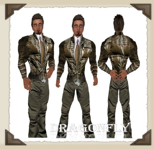 **DD**Runway Brown w/Prim Collar