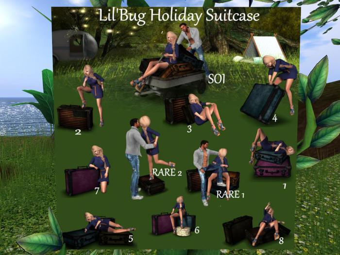 Lil'Bug Holiday Suitcase 5