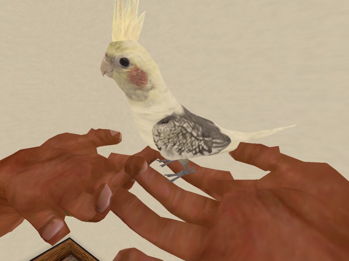 *TusK Kiss a Critter, Cockatiel  (Boxed)