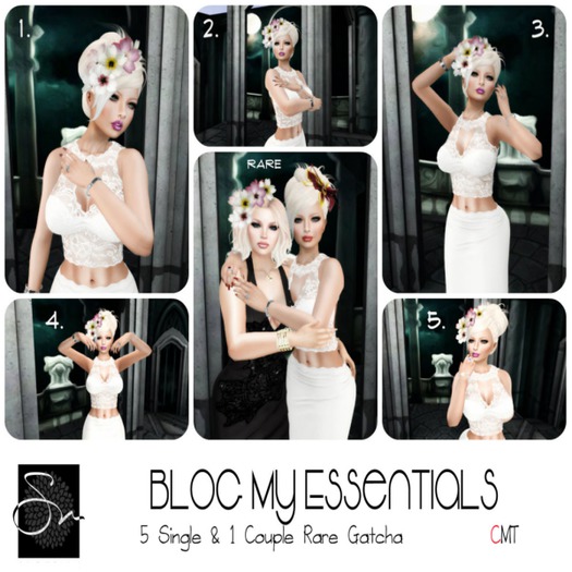 **SN~ Blog my Essentials 5