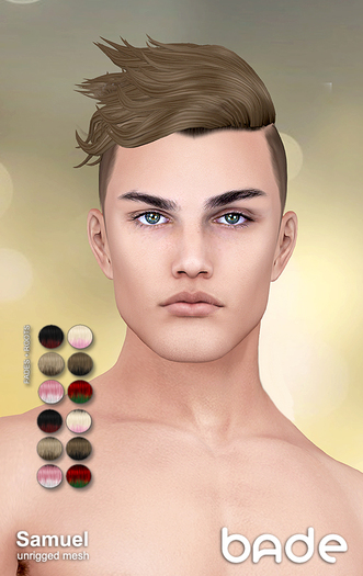 [bade] Samuel FADES