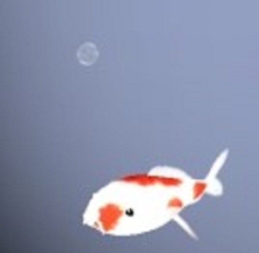 Uncommon Fish: Kohaku Koi