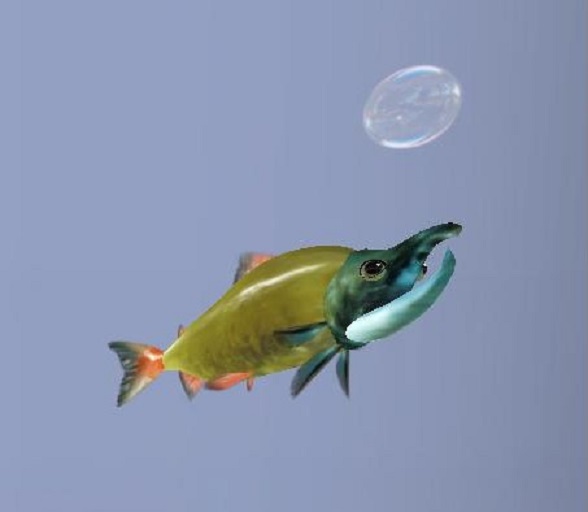 (7S) Uncommon Fish: Salmon 12 in