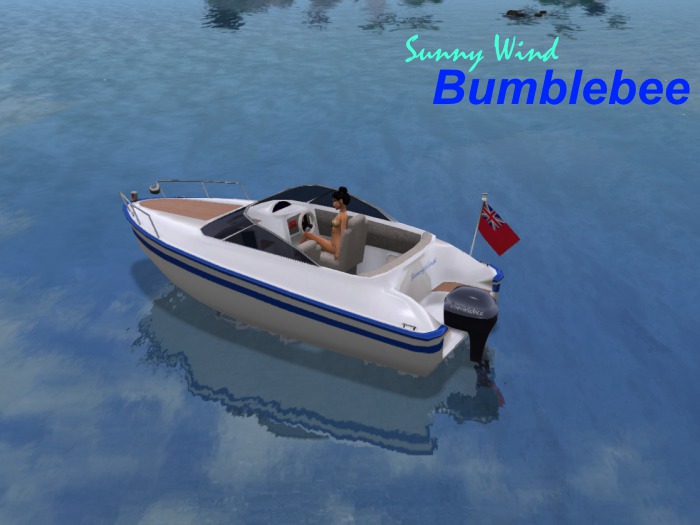 Bumblebee Speedboat