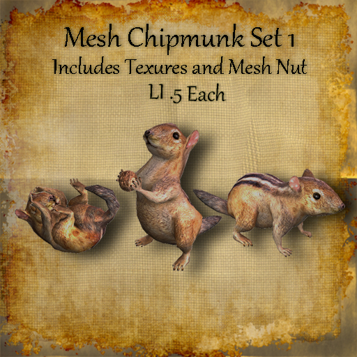 Bad Katz Mesh Chipmunk Set