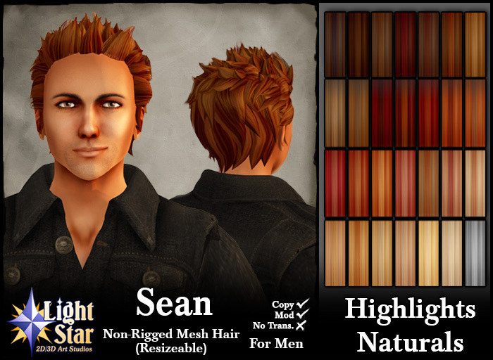 *LightStar-Hair-Sean-Highlights-Naturals