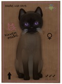 KittyCatS Box - Tonkinese - Natural Mink