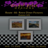 -OPd- Rt. 66 Retro Diner Pictures  [boxed]