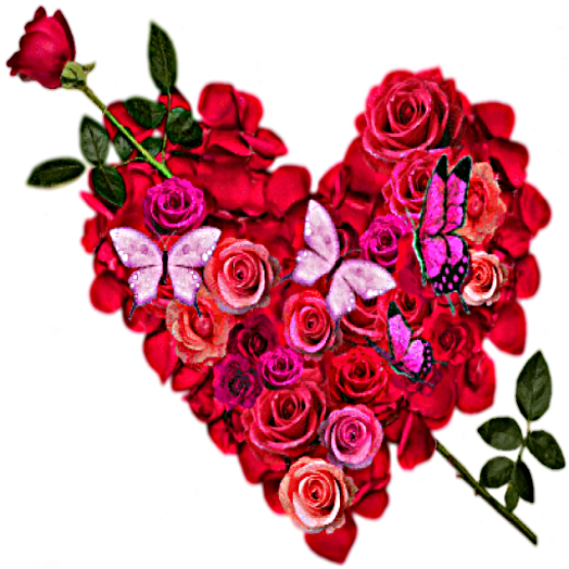 Sanna Heart Of Roses And Butterflies Alpha MP