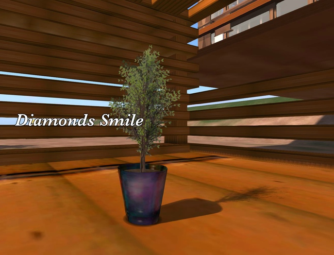 +GIO + Luxury  Floor Plant w/Menu