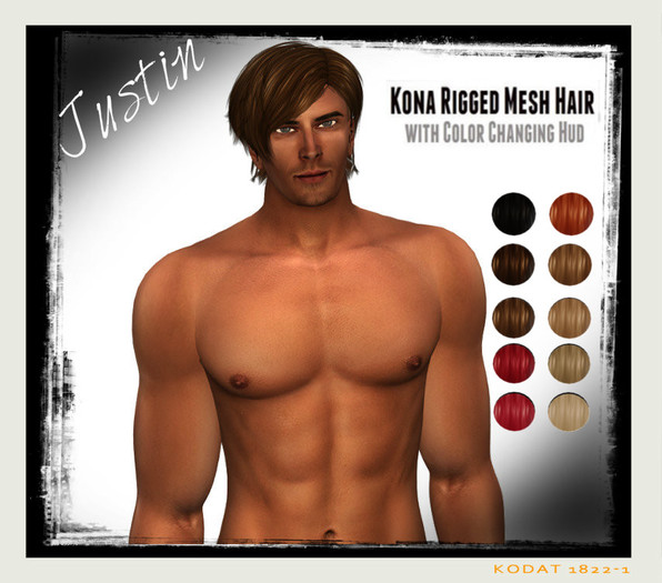 Kona Rigged Mesh Hair-Justin