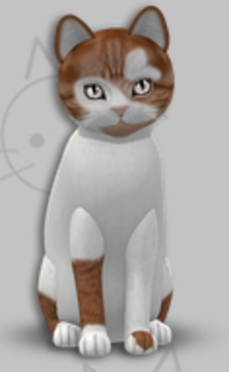 KittyCatS Box - Genesis Flame IV/6T/Male/TOY