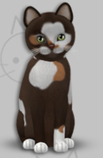 KittyCatS Box - Genesis Patch/3T/Male