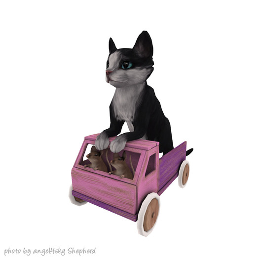 JIAN Curious Kitties :: Toy Truck Wanderer BOX RARE