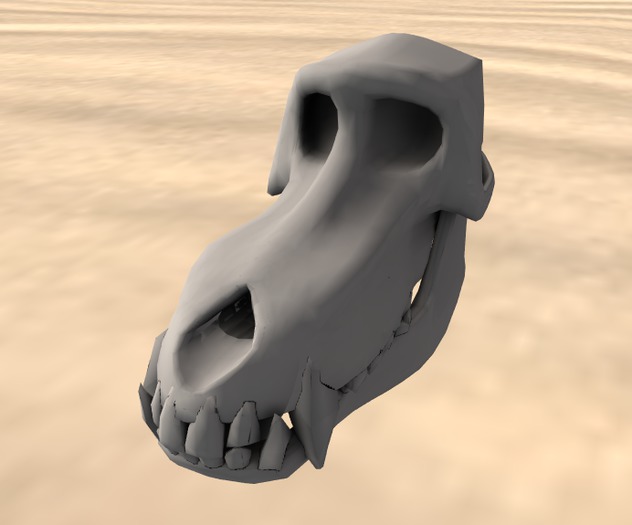 Baboon Skull