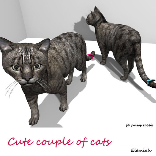 Elemiah Design - Cute couple of cats