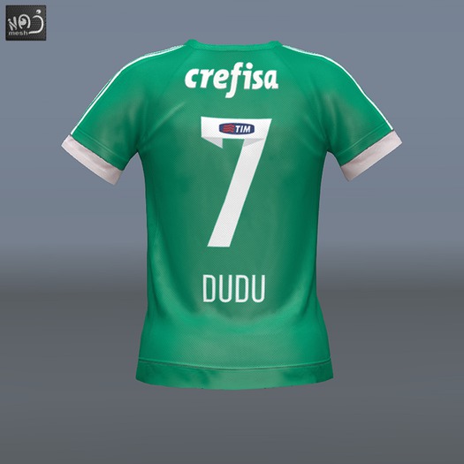 PALMEIRAS , Dudu 7 (MESH) boxed