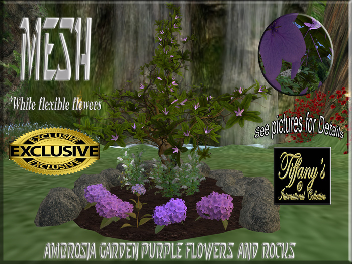 AMBROSIA GARDEN PURPLE FLOWERS AND ROCKS-BOXED