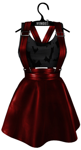 .Winged. Overall Skirt