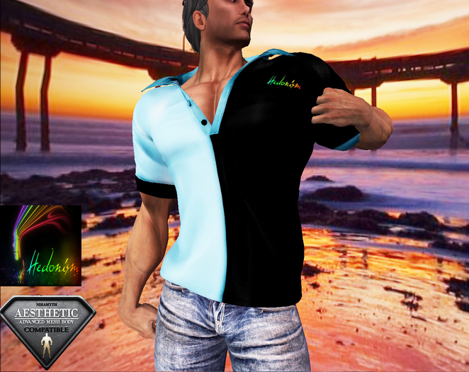 HD ~ Polo Black & Blue