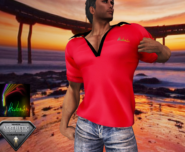 HD ~ Polo Red & Black