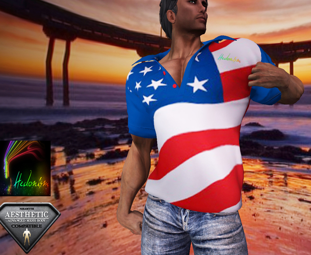 HD ~ Polo USA Flag
