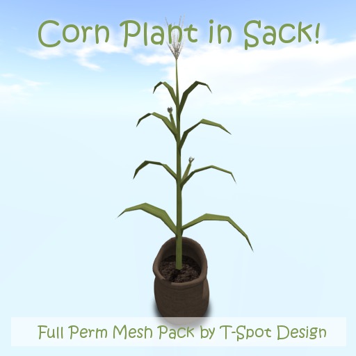 Corn - Corn Plant in Sack - Full Perm Mesh - LI=2