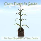 T-Spot Mesh - Corn Plant in Sack - LI=2