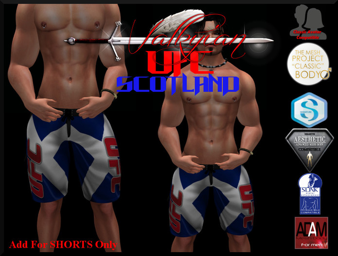 ~DOMINUS~ SCOTLAND MMA  SHORTS (BOXED)