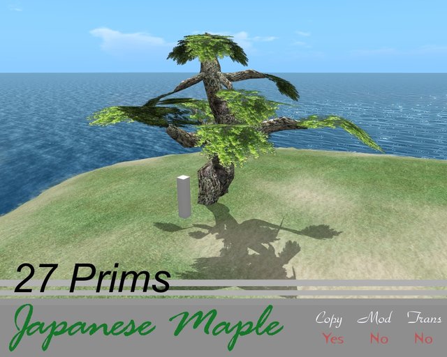 Realism tree: Japanese Maple