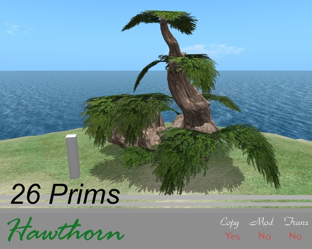 Realism tree: Hawthorn