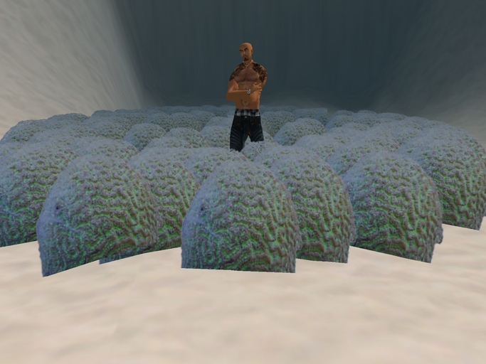 Emerald Brain Coral Emitter