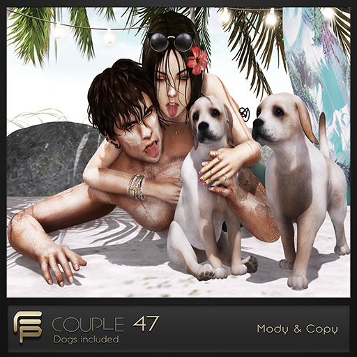 .Focus Poses. Couple 47