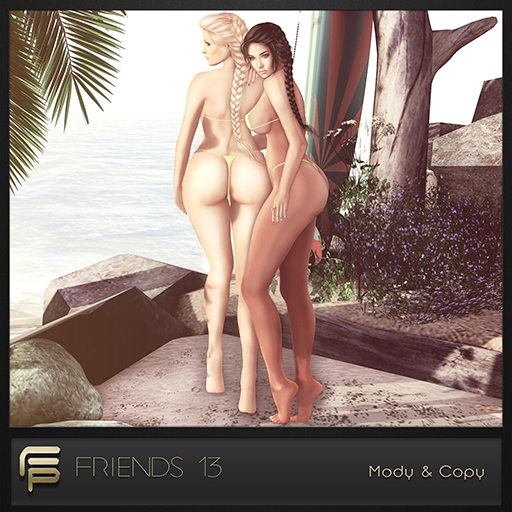 .Focus Poses. Friends 13